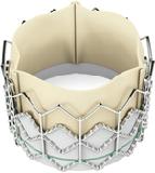 Edwards SAPIEN transcatheter heart valve