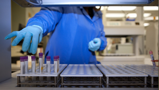 A lab technician organizes samples for genetic testing