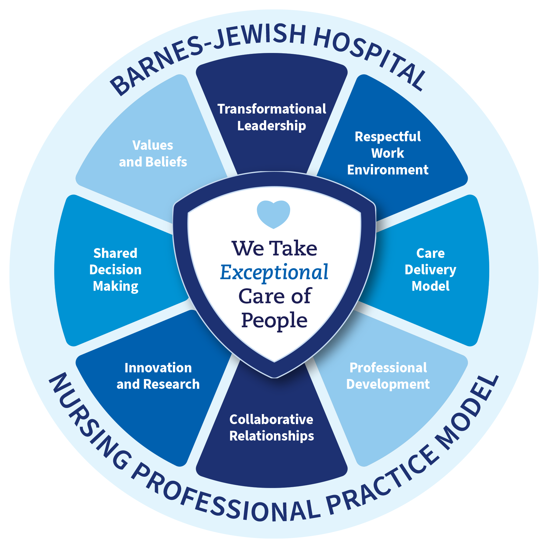Nursing Professional Practice Model Nursing Professional Practice Model