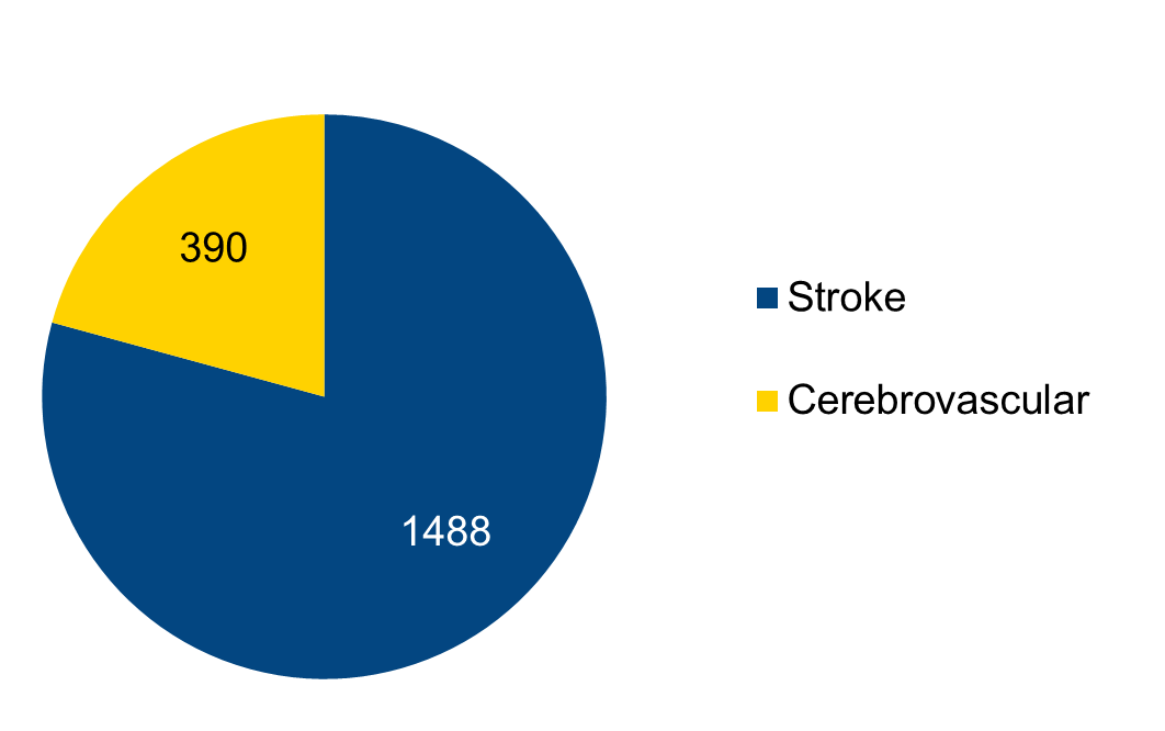 Total Stroke and Cerebrovascular Volume