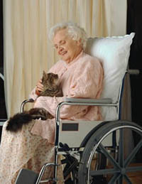 Fotografía de una anciana, en una silla de ruedas, con su gatico 