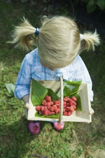 Girl looking down at basket of berries
