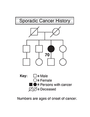 Genetic illustration demonstrating sporadic cancer history.