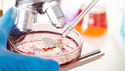 Research progress includes personalized melanoma vaccine