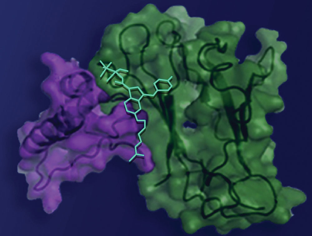 Researchers at WashU Medicine and Stanford University developed a compound that relieves pain in mice without causing addiction or mind-altering side effects. The compound is illustrated here in cyan, nestled within a protein (green and purple) involved in sensing pain.