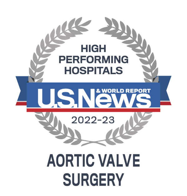 High Performing badge for Abdominal Aortic Valve Surgery