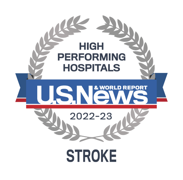 2022 High Performance Badge - Stroke