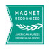 Magnet Recognition