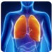 Lung Transplant