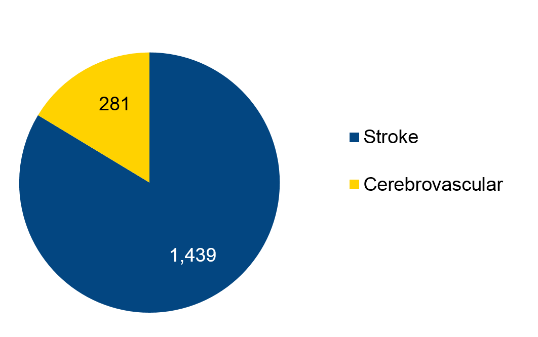Total Stroke and Cerebrovascular Volume Total Stroke and Cerebrovascular Volume