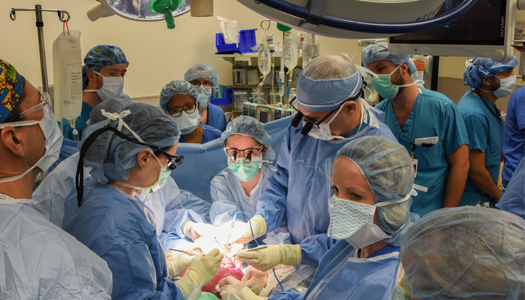 A group of surgeons performs fetal surgery for spina bifida repair