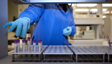 A lab technician organizes samples for genetic testing