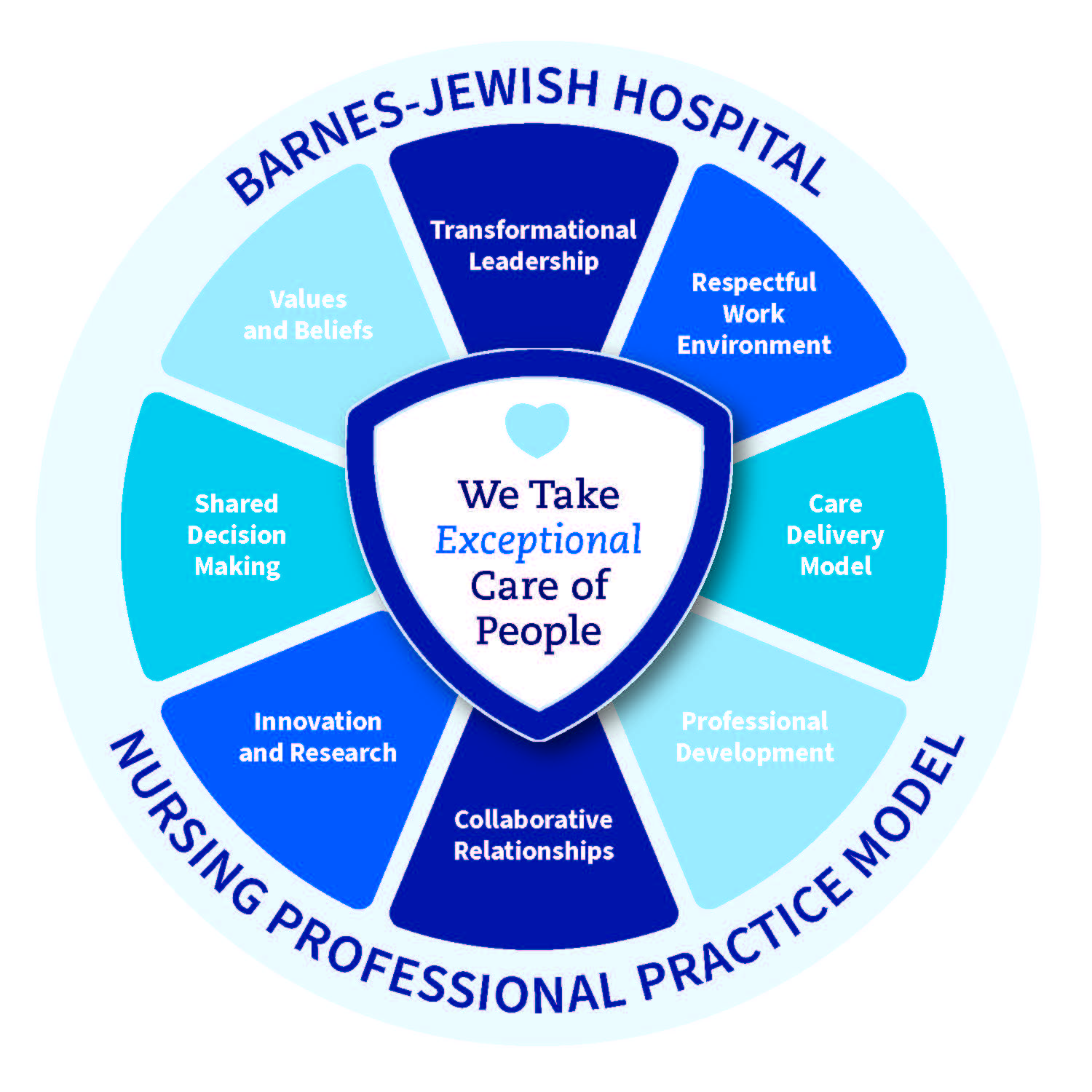 Nursing Professional Practice Model