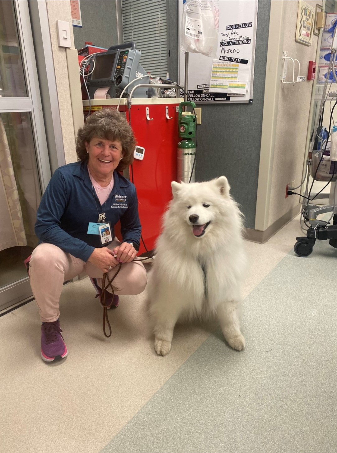 Picture of a volunteer