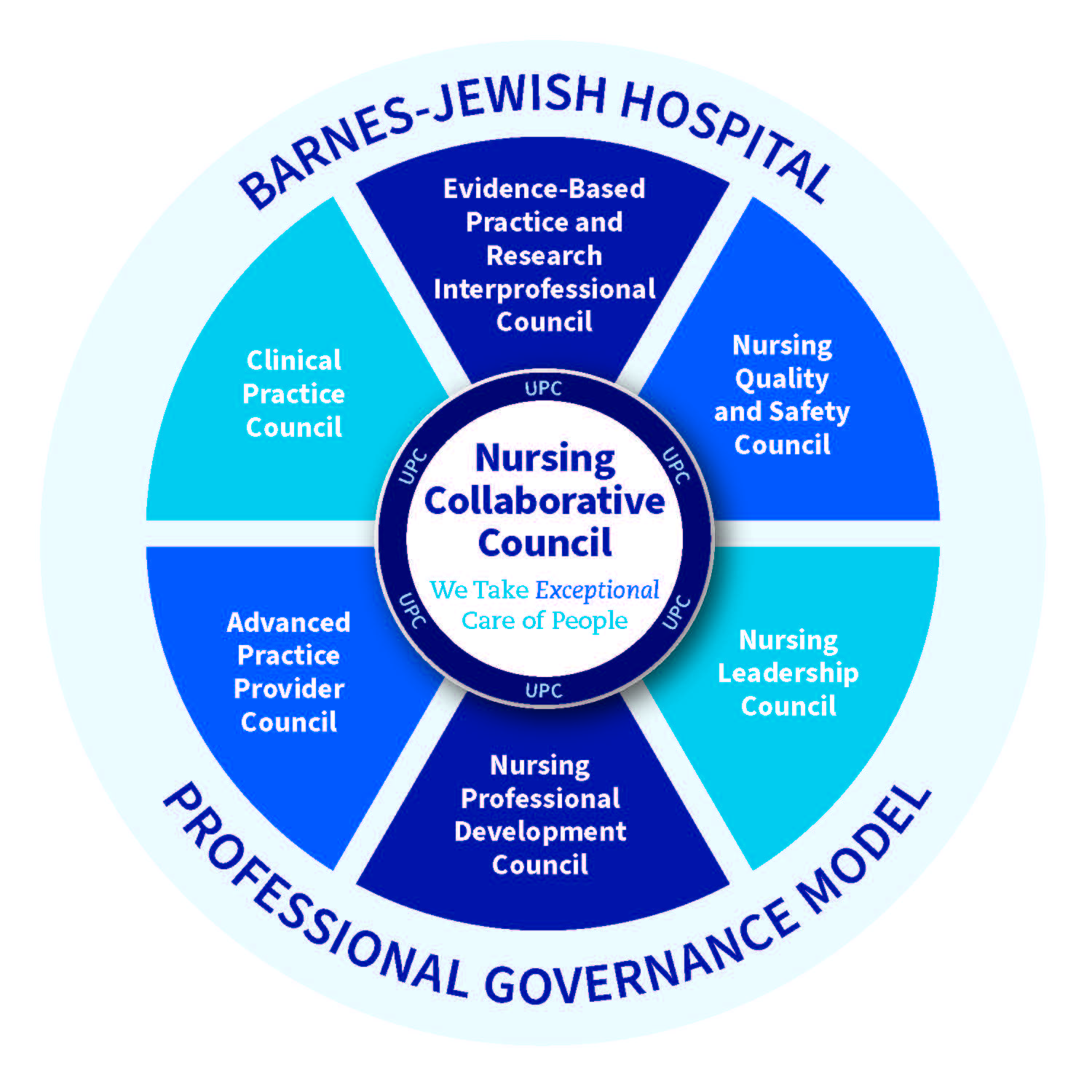 Professional Governance Model