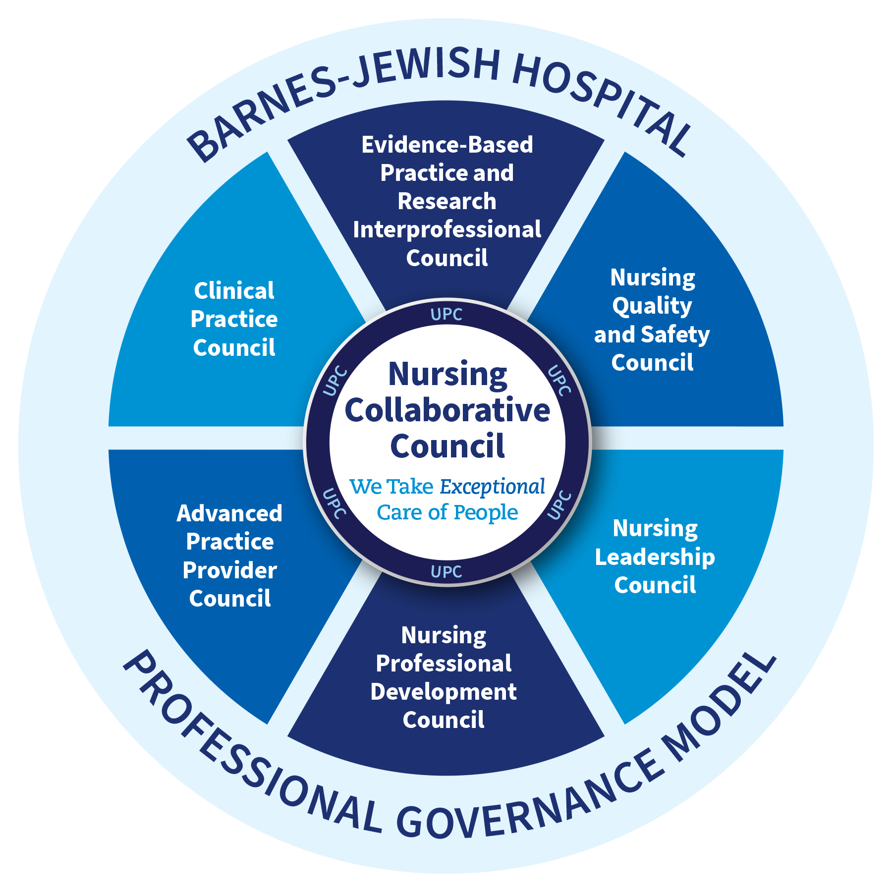Professional Governance Model