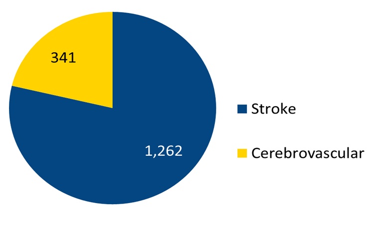 Total Stroke and Cerebrovascular Volume