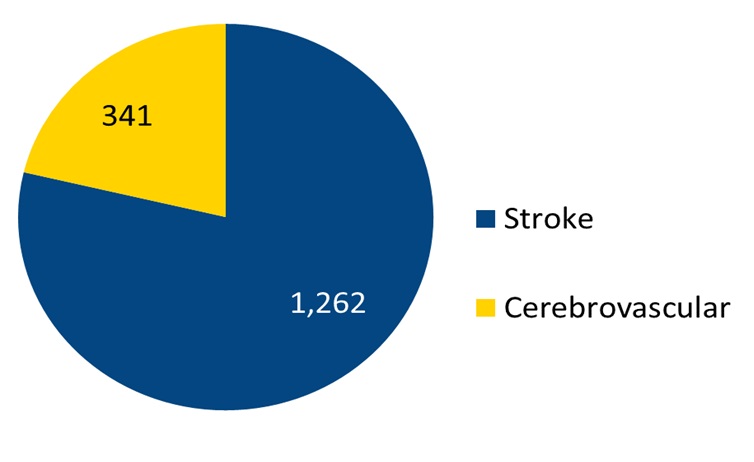 Total Stroke and Cerebrovascular Volume Total Stroke and Cerebrovascular Volume