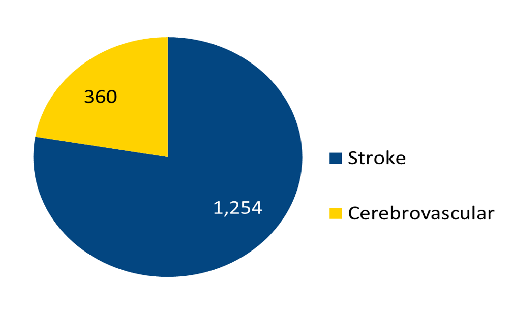 Total Stroke and Cerebrovascular Volume