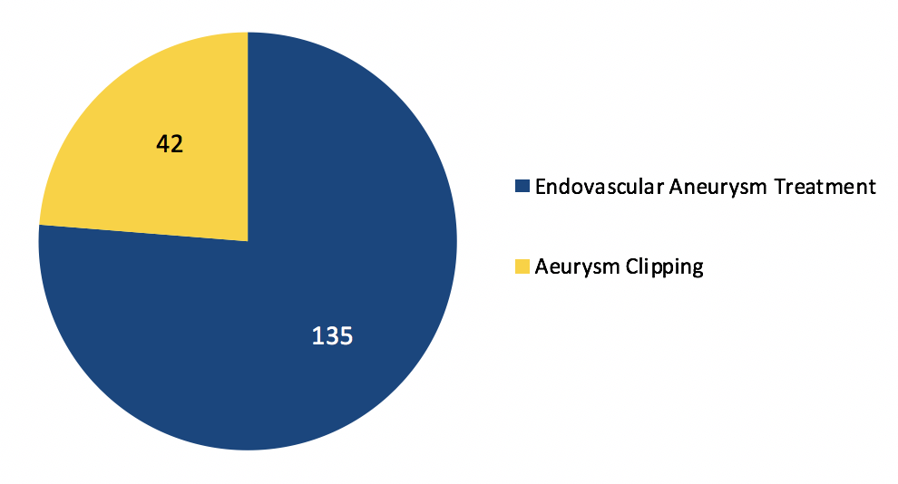 Aneurysm Treatment Aneurysm Treatment